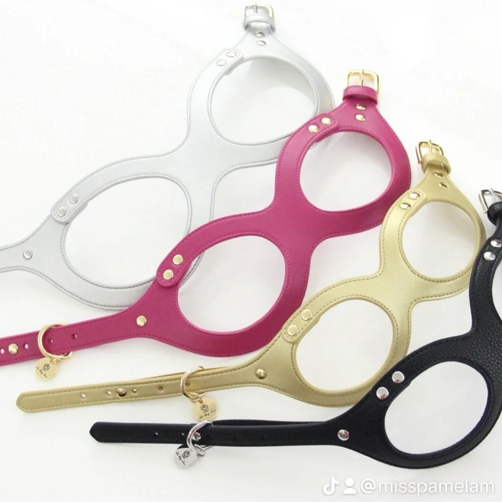 To Beg for Accessories and Treats Premium Vegan Dog Harness Size Medium - Picture 4 of 5